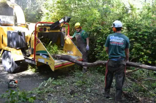 tree services Wapello